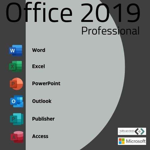 Professional 2019
