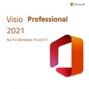 Visio 2021 Pro für 1 PC Retail